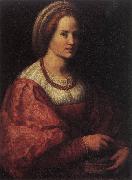Andrea del Sarto Portrait of a Woman with a Basket of Spindles Spain oil painting reproduction